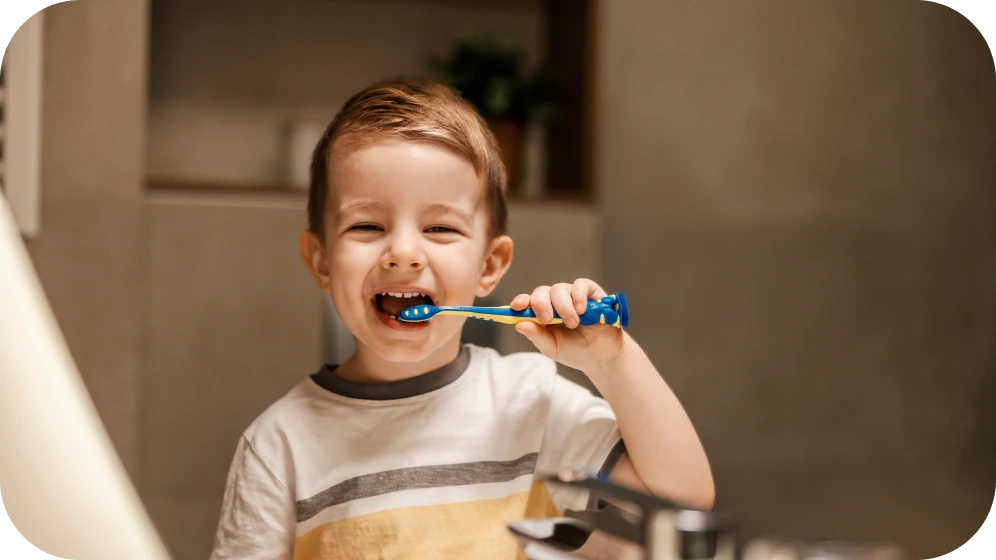 disjoncteur maxillaire correction grenoble disjoncteur maxillaire correction grenoble Disjoncteur Cabinet d’orthodontie Drs. ROCCA & Associés